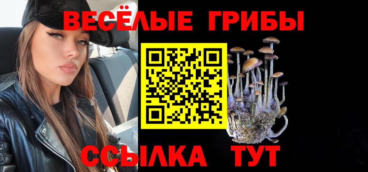 Татарск  Псилоцибиновые грибы Psilocybe  Вход с VPN  Псилоцибиновые грибы MAGIC MUSHROOMS 